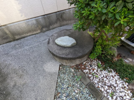 ̑@̑