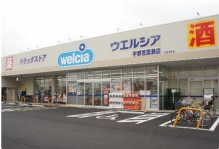 ӊ@yhbOXgAzEGVA Fs{ʐQX܂213