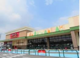 ӊ@yX[p[zt[hIAVXI[^jX܂1695