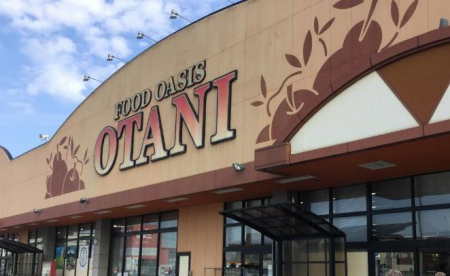 ӊ@yX[p[zijtWhCI[^j X܂494