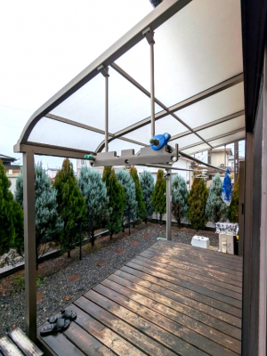 ���̑��@���̑�