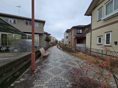 ���̑��@���̑�