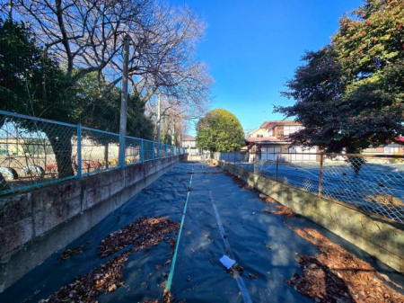 ���n�y�n�ʐ^�@-