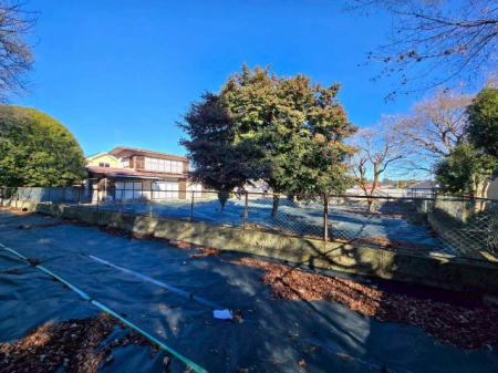 ���n�y�n�ʐ^�@-