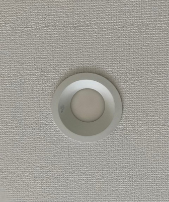 ���̑��@�_�E�����C�g�i�ʐ^�͓��d�l�ʐ^�j