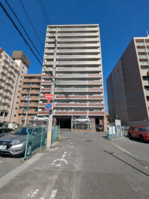 ���̑��@���̑�