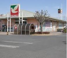 ���ӊ��@�y�X�[�p�[�z���[�N�x�j�}�� ����c�X�܂�1114��