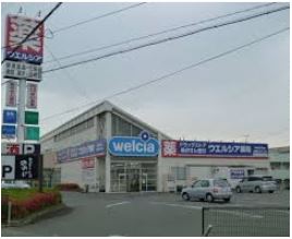 ���ӊ��@�y�h���b�O�X�g�A�z�E�G���V�A��ǉF�s�{�ˍՓX�܂�558��