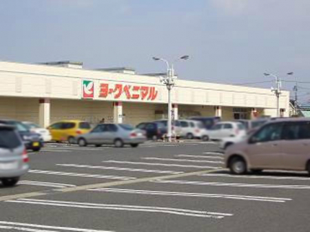 ���ӊ��@�y�X�[�p�[�z���[�N�x�j�}�� �ᏼ���X�܂�1848��