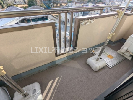 �o���R�j�[�@�����̌���������₷���̂Ő��󕨂��������芣�������ł��B