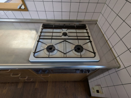 ���̑��@���̑�