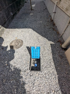 ���̑����ρ@�O����2