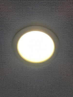 ���̑��@LED�Ɩ��i�ʐ^�͓��d�l�ʐ^�j