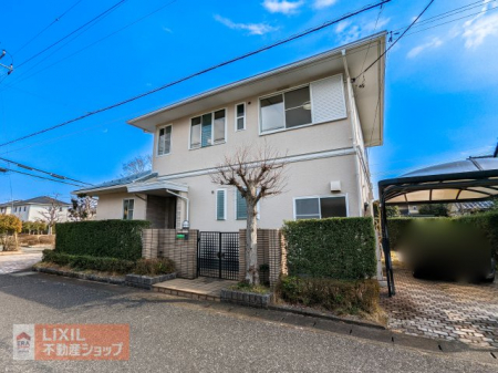 ���n�O�ώʐ^�@�_�y�g���^�z�[���{�H�z�~�y�p�n�z�~�y�����אځz�̍D�������������@��I�^ �p�n�ŊJ���I�I�����������Ȃ̂ŁA���������Ȃ��A���z���������荷�����݂܂���