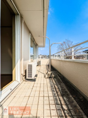 �o���R�j�[�@�z������̗ǂ��L�X�Ƃ����o���R�j�[�� ���Ƒ��S���̐��󕨂͂������A���z�c���̑傫�����̂��������花�����Ƃ��ł��܂��I