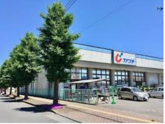 ���ӊ��@�y�h���b�O�X�g�A�z�J���`��i ��������̂܂��X�܂�1151��