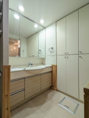 ���ʑ�E���ʏ��@�y�Ɨ����ʑ�^���n�ʐ^�z�O�ʋ��^�C�v�̓Ɨ����ʑ�ł��B���̗��͎��[�ɂȂ��Ă���A���Ƒ��̊F�l�ŕ֗��ɗ��p���������܂��B�����̎��[�́A���p�i�����[����̂Ƀs�b�^���ł�