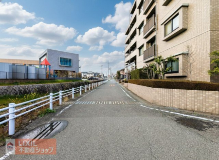 ���̑��@�O�ʓ��H���L���A���ʂ��ǍD�ł����ڂ̑O�ɗ���鏬��̂����炬�ɖ�����鎩�R�L���ȏZ���ł��I