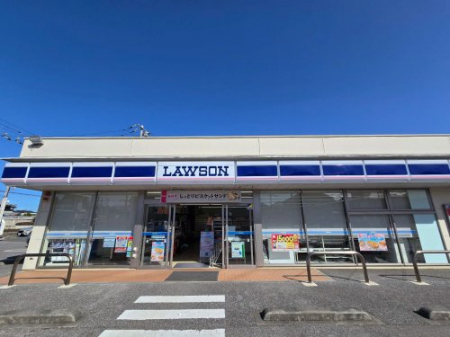 ���ӊ��@�y�R���r�j�G���X�X�g�A�z���[�\�� �F�s�{�����{���܂�591��