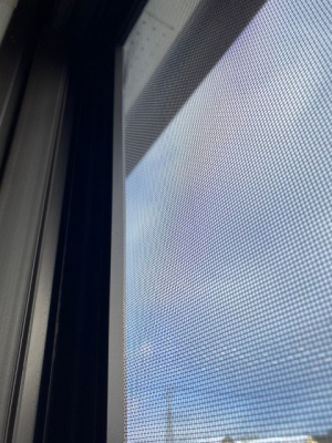 ���̑��@�Ԍˁi�ʐ^�͓��d�l�ʐ^�j