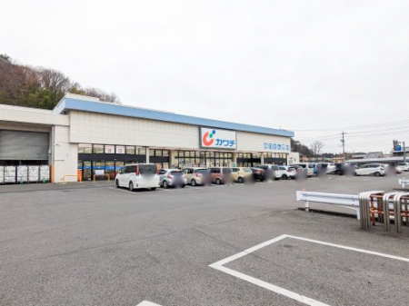 ���ӊ��@�y�h���b�O�X�g�A�z�J���`��i �O�̑�X�܂�612��