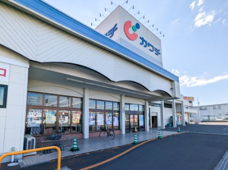 ���ӊ��@�y�h���b�O�X�g�A�z�J���`��i �ʐ��X�܂�917��