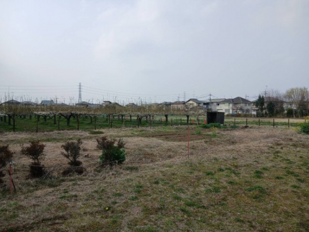 ���}�@747�u�̍L���~�n�ł��B�傫�ȕ~�n�𗘗p���Ă��D���Ȃ��Ƃ����Ă��܂��B�܂���������̂��ǂ��ȗ��n�ł��B